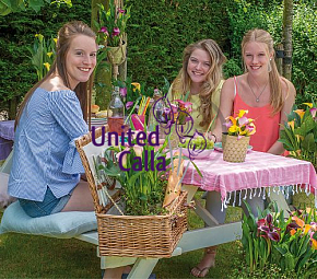 United Calla mix 2 United Calla mix 2